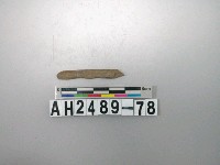 藏品(磨製石針)的圖片